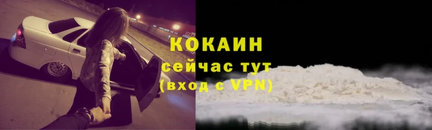 гашик Нягань