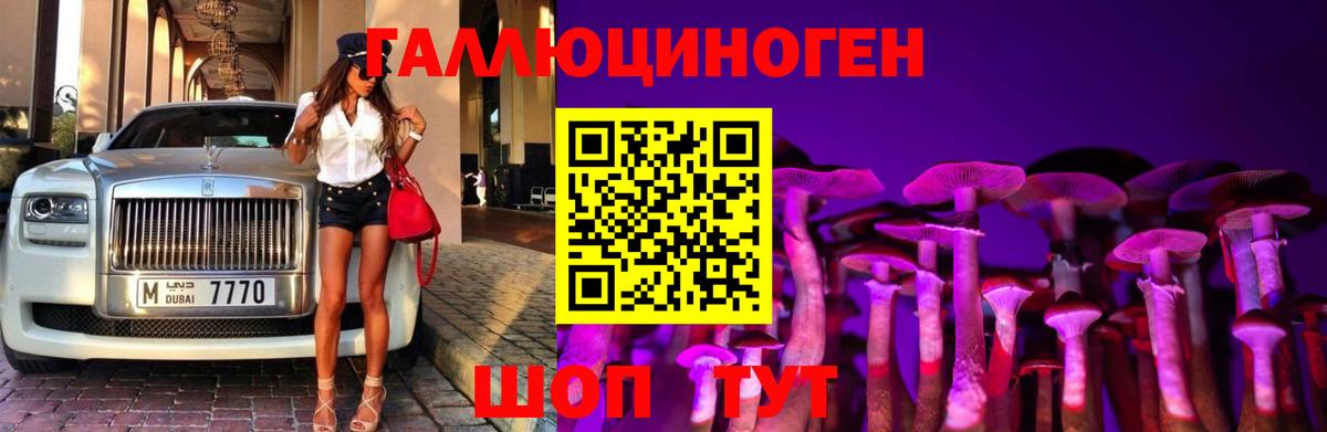 Электрогорск  Псилоцибиновые грибы Psilocybe  Вход с VPN 